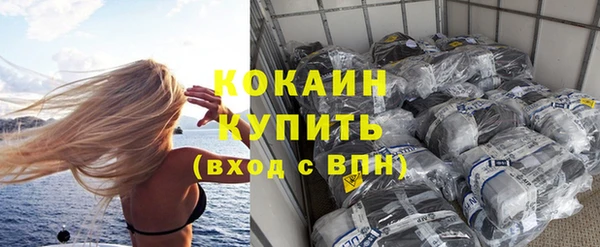 СК Строитель